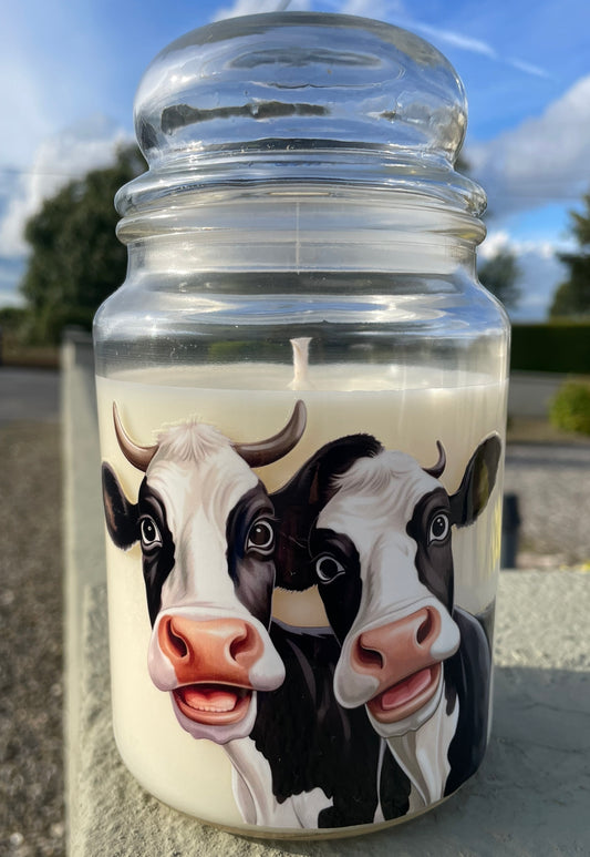 Cow Candle ~ Tommy & Bó